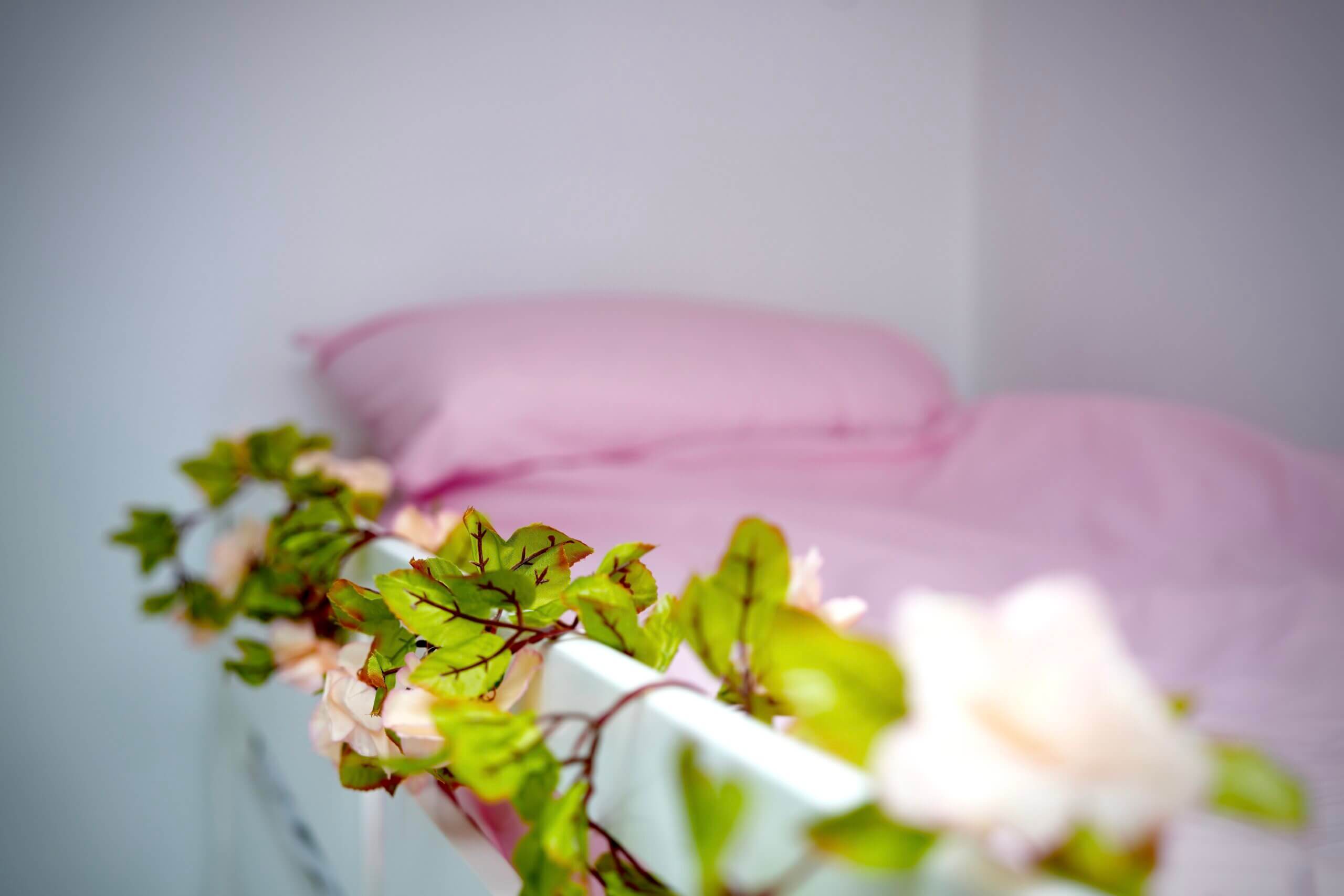 Warm and supportive homestay environment for international students in Canterbury