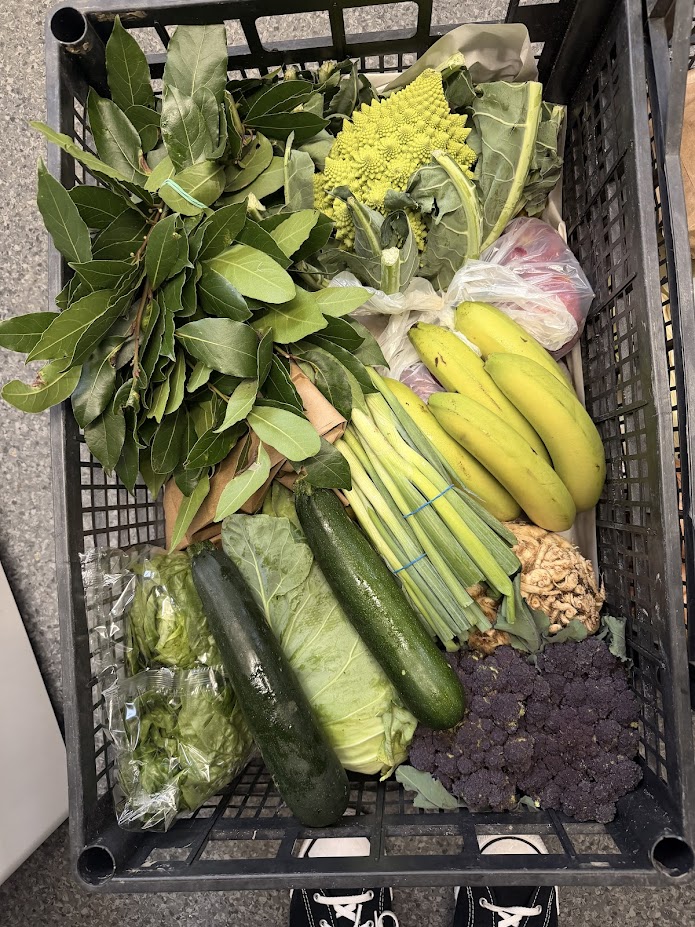 Crate of fresh vegetables and fruit for healthy host family meals